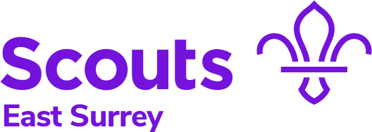 East Surrey Scouts